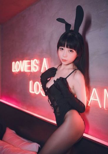 警花与警犬第二季免费观看全集