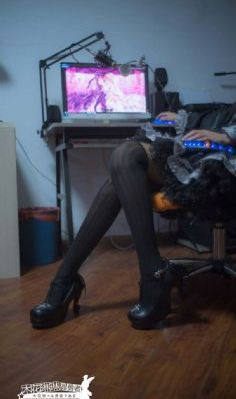 傻王夺嫡开局就藩西凉