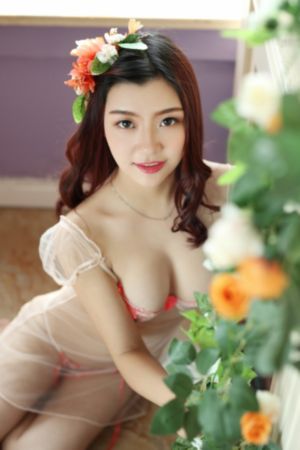 越狱兔第一季全集免费观看