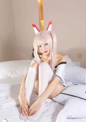 哈小浪免费动画片