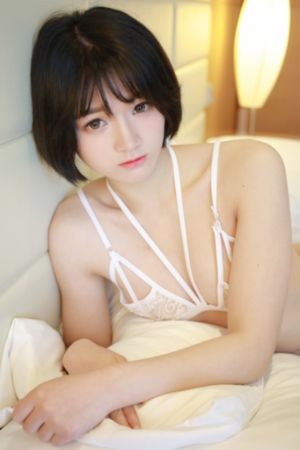 花蝴蝶七大全免费多少集