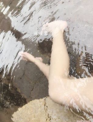 亲密的搭档电视剧全集免费观看