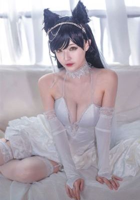 黑猫警长全集