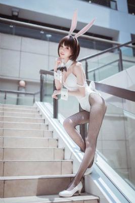 百度优化排名软件